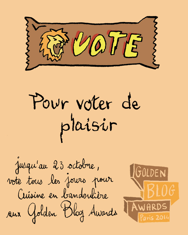 voter de plaisir