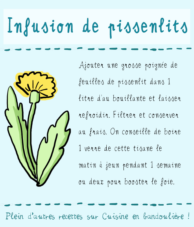 infusion pissenlits detox