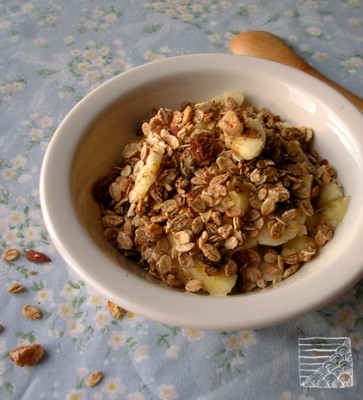 Granola maison sans sucre ajouté